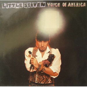 Little Steven – Voice Of America