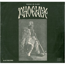 Phoenix (23) – Mugur De Fluier