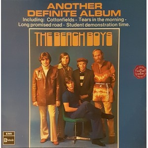 Beach Boys, The – Another Definite Album