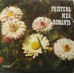 Various – Prietena Mea Romanța