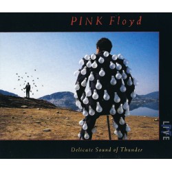 Pink Floyd – Delicate Sound Of Thunder