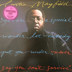 Curtis Mayfield – Never Say You Cant Survive