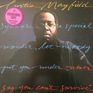 Curtis Mayfield – Never Say You Cant Survive