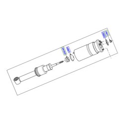 Amortizor perna aer Range Rover Sport LR016419